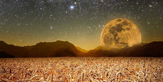 November 2022 Full Moon: Beaver's Moon