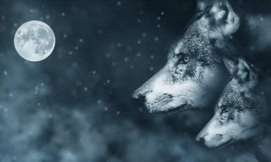 First Full Moon of 2022