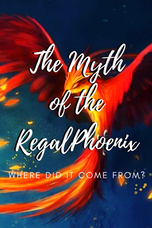 In ancient Egyptian mythology and in myths that originated from it, the mythical Phoenix is a sacred female firebird with beautiful red and gold feathers, the color of the rising Sun.
