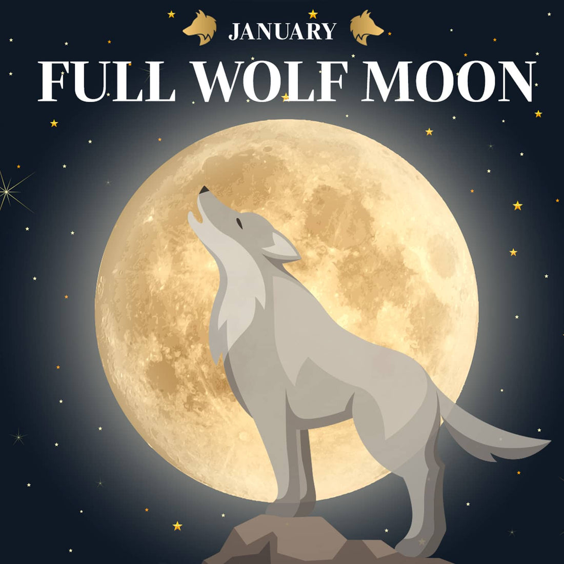 January 2023 Full Moon: Wolf Moon | Micromoon
