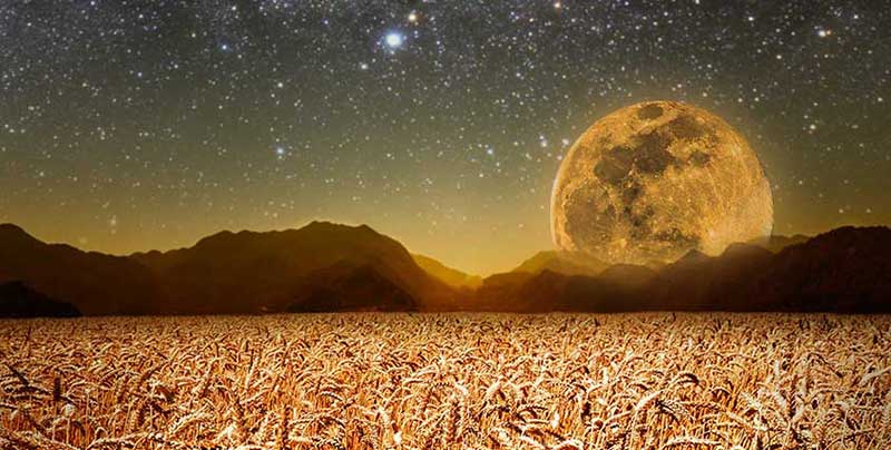 November 2022 Full Moon: Beaver's Moon